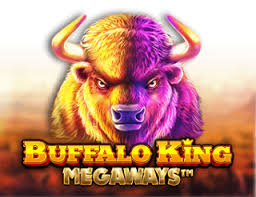 Buffalo King Megaways Port - Play for Actual Money or Play