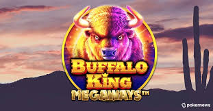 Buffalo King Megaways Port - Play for Actual Money or Play